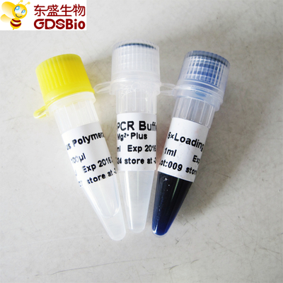PCR P1031 P1032 P1033 P1034のためのDNAポリメラーゼと青い緩衝Taq