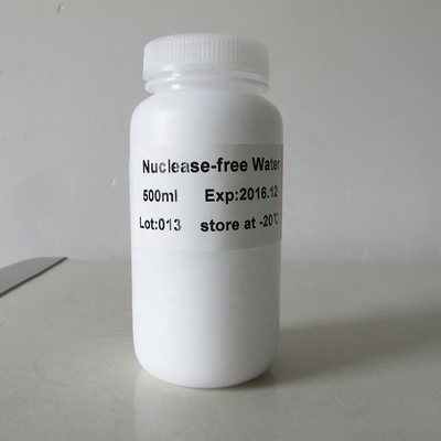 分子生物学の等級水ヌクレアーゼ自由なP9023 500ml
