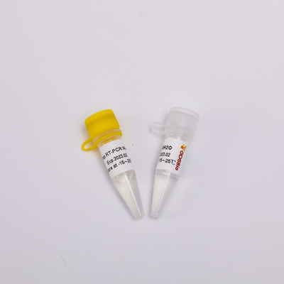 50のRxn 2Xの逆のTranscriptase PCRの試薬1つのステップ マスターの組合せP1001