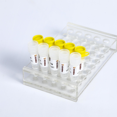KASP PCR マスターミックス P4021 P4022 SNP インデルの検出